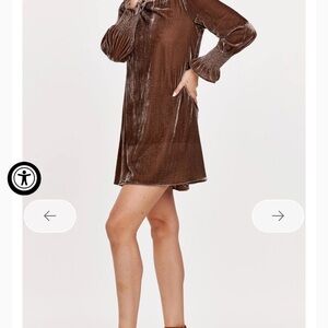 Dear John Velvet Long Sleeve Dress